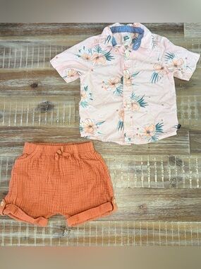OshKosh Baby Toddler outfit set shorts and button down shirt